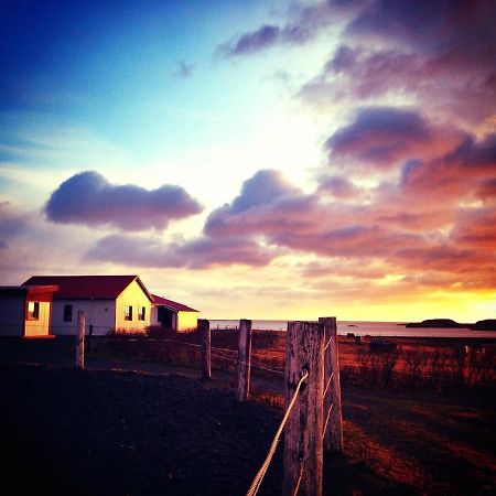 Dynjandi Guesthouse Höfn Eksteriør bilde