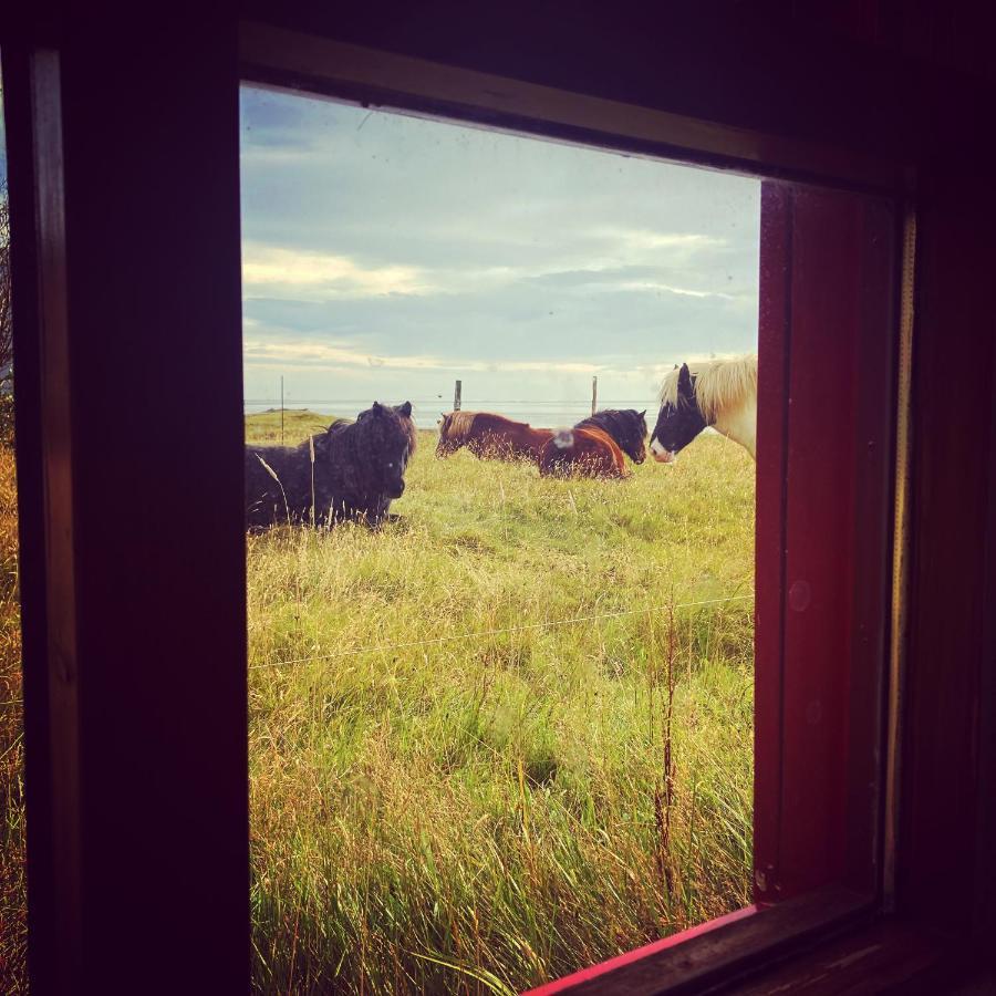 Dynjandi Guesthouse Höfn Eksteriør bilde