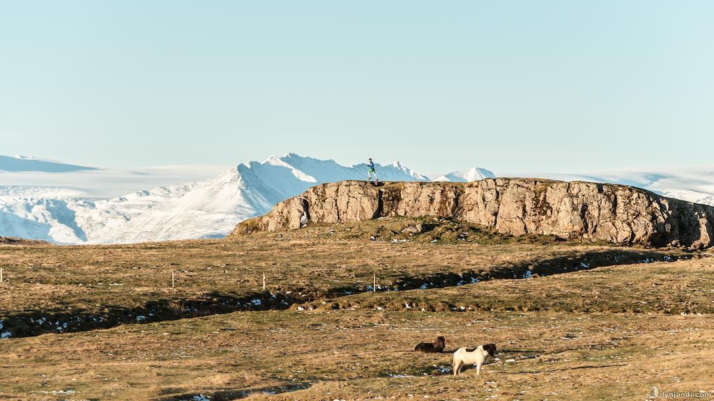 Dynjandi Guesthouse Höfn Eksteriør bilde